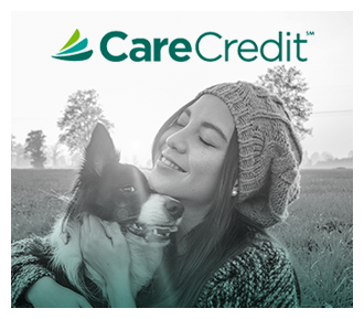 CareCredit